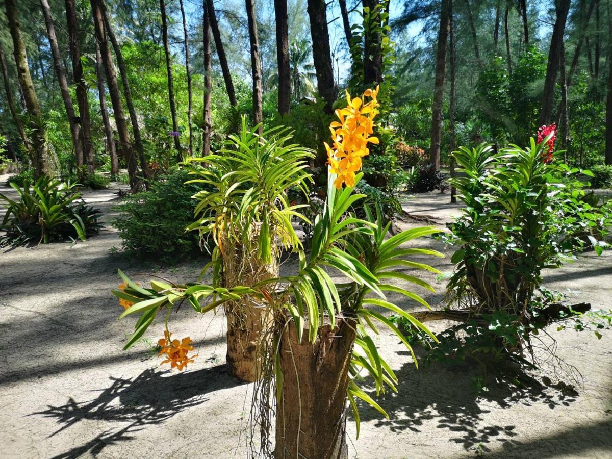 Hapla Beach Cottage Koh Kho Khao Island 외부 사진